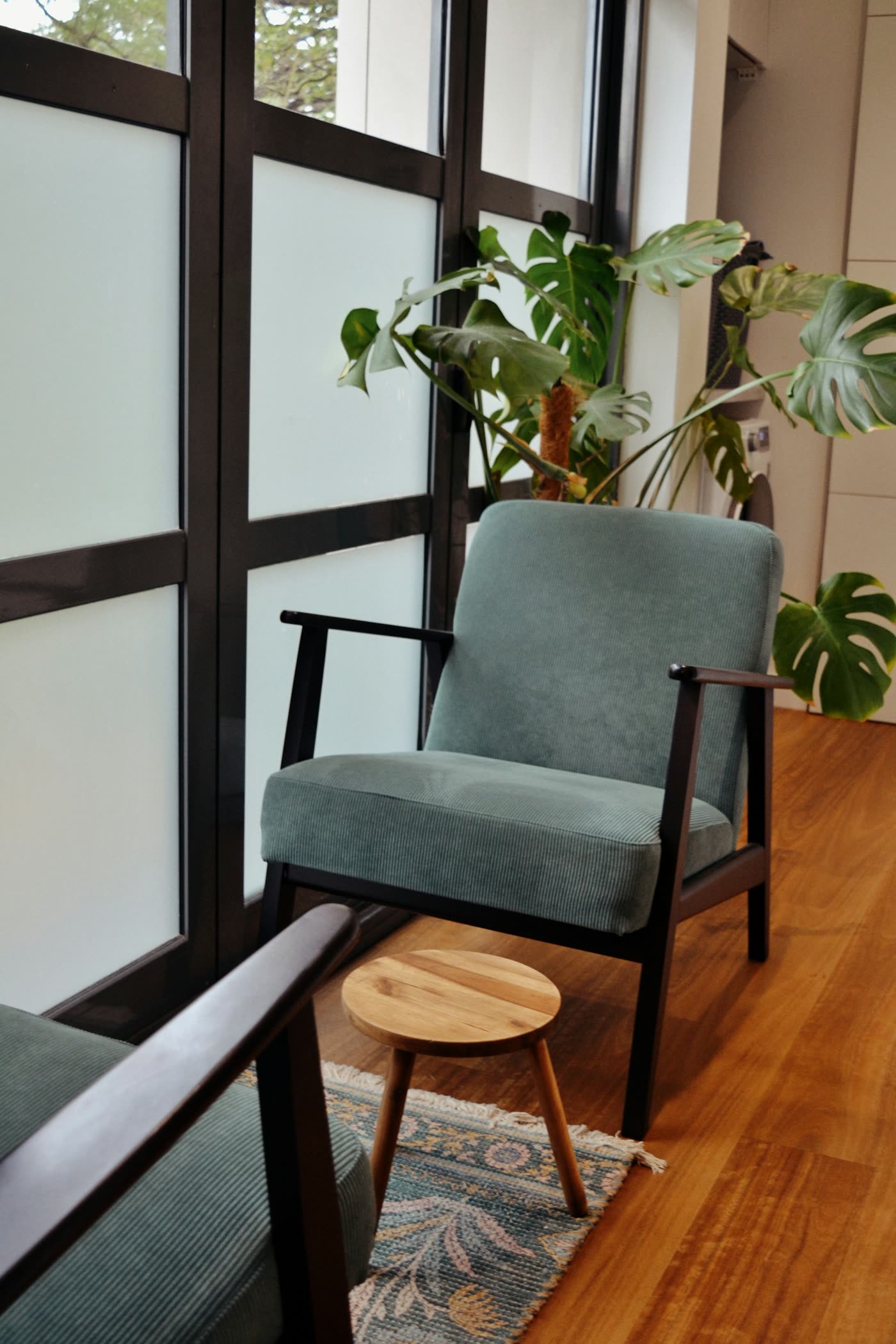 Consultório com poltrona verde-acinzentada junto a uma janela ampla, plantas e piso de madeira
